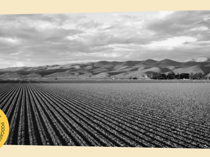 15.08.2025. Sudbina Instituta za ratarstvo. Ekonomija za opšte&nbsp;dobro