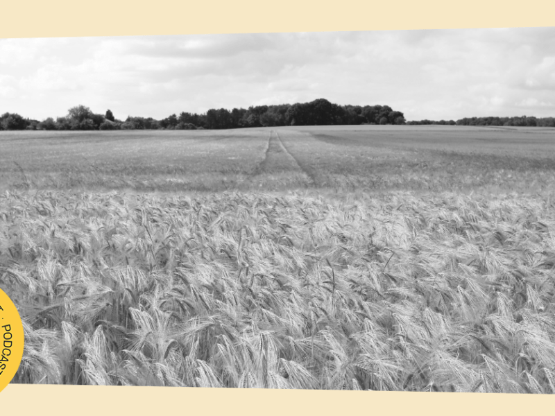 05.09.2025. Štrajk u Institutu za ratarstvo. Farmaceutska&nbsp;industrija