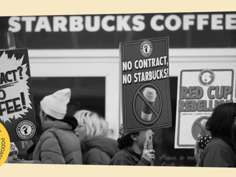 21.11.2025. Ugovori za stalno u beogradskim vrtićima. Organizovanje u&nbsp;Starbaksu